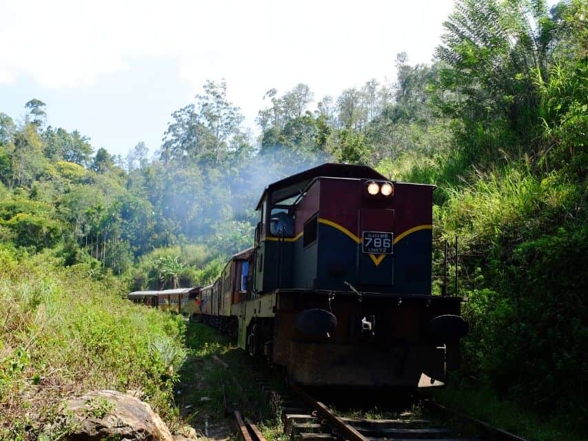 Train on the Demodara Railway Loop surrounded by thick greenery