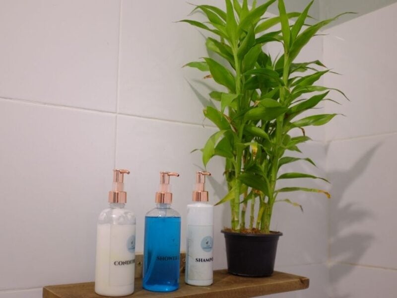 Bathroom toiletries and plant detail inside Ella Ceylonka guesthouse.