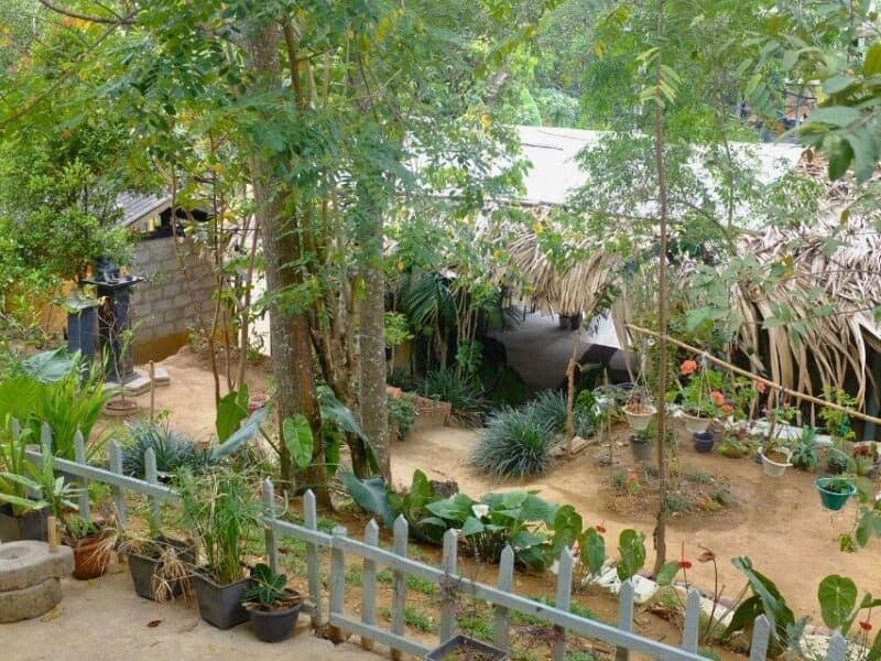 Small garden area and pathway at Ella Ceylonka in Ella Sri Lanka.