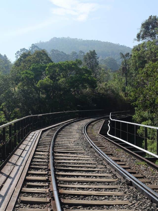 Curving railway bridge surrounded by thick greenery near Ella.