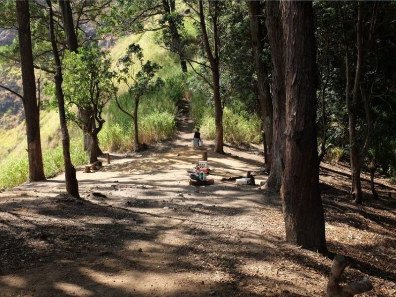 Shaded forest clearing with a small stall and path leading onwards near the top of Ella Rock.
