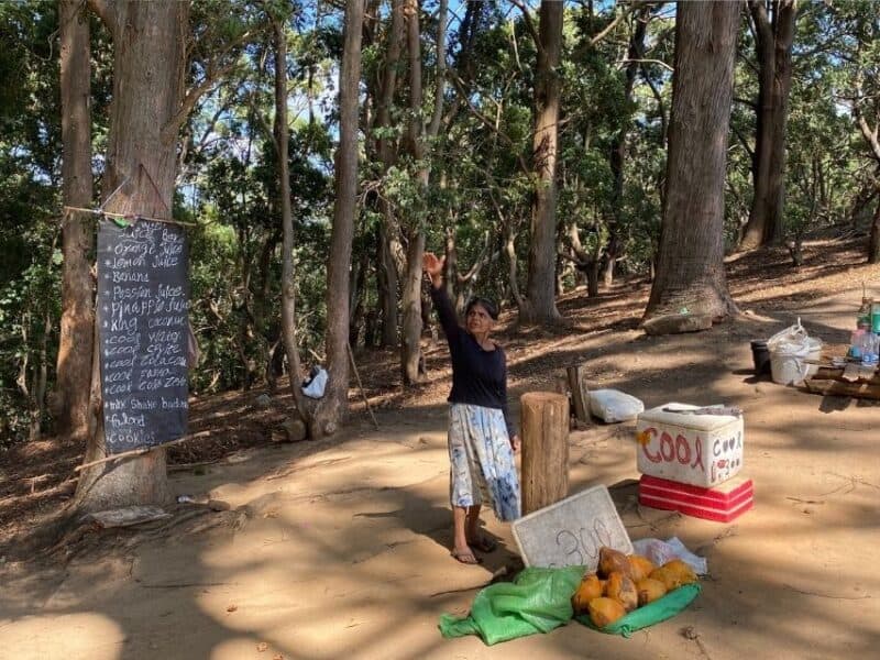 Woman selling coconuts and drinks in the forest along the self-guided Ella Rock hike route.