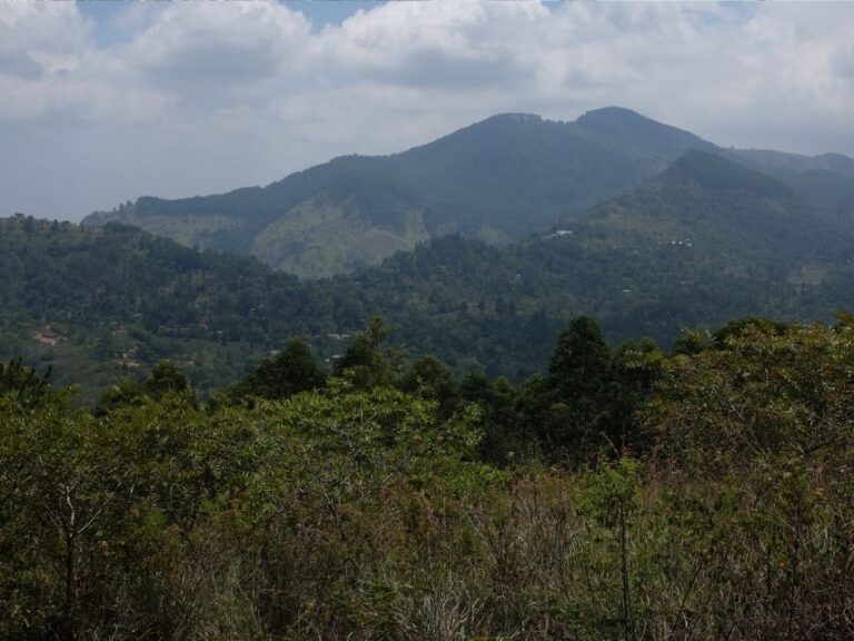 Ella Rock Hike, landscape view, feature