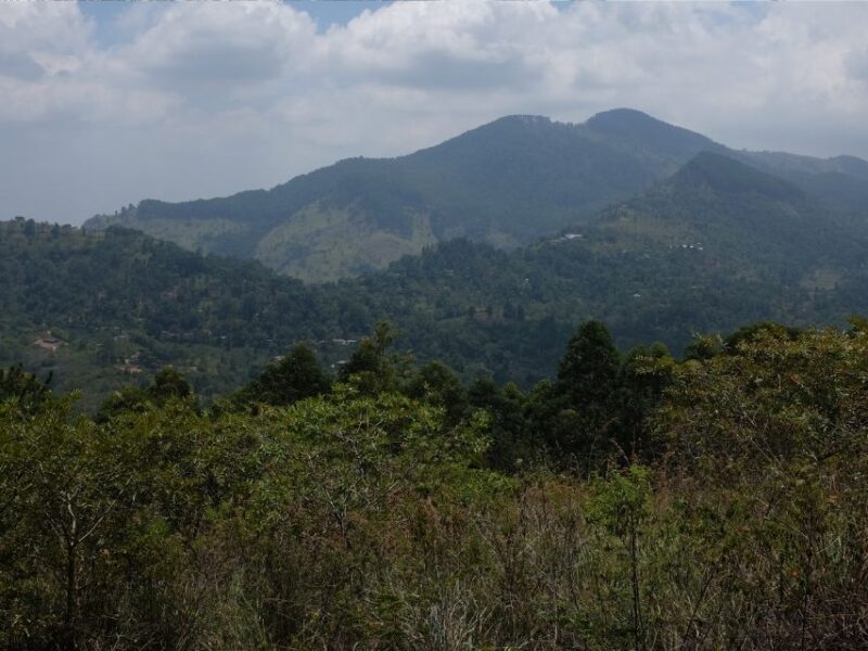 Ella Rock Hike, landscape view, feature