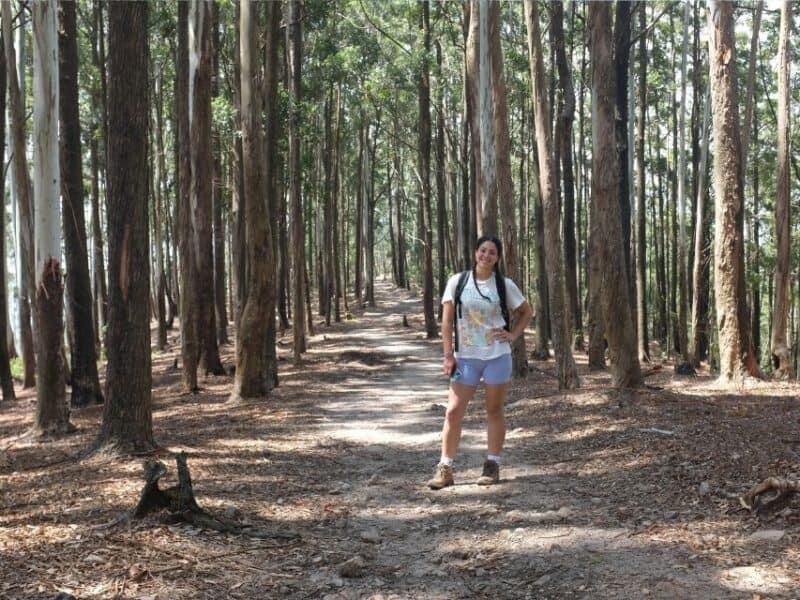 Traveller standing on a wide forest path among tall eucalyptus trees near the Forest Monastery.