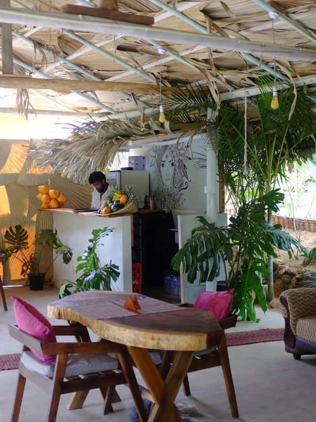 Boho-style cafรฉ interior in Ella with tropical plants and wooden furniture