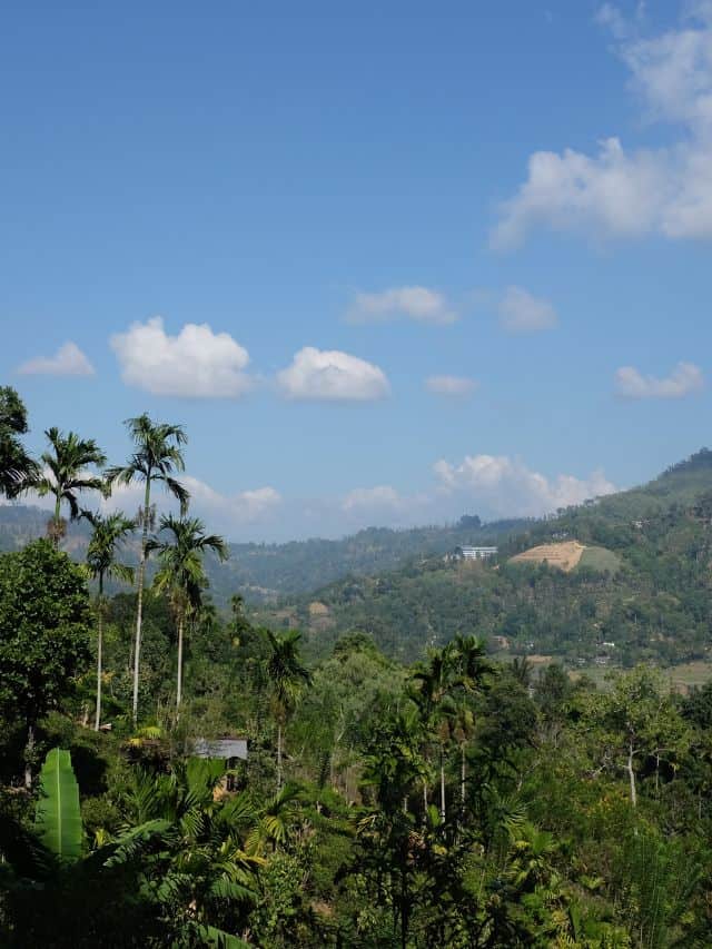 Lush valley and tropical hillside view in Ella, Sri Lanka