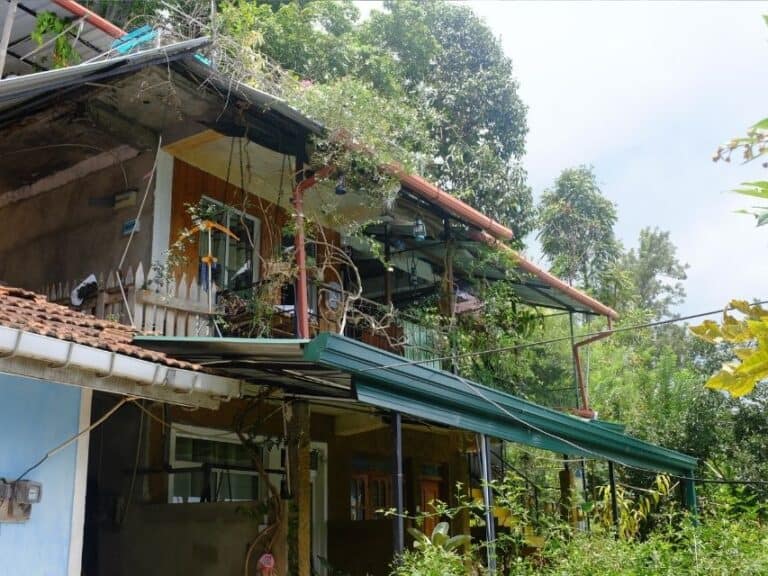 Secret View Homestay External View, Feature