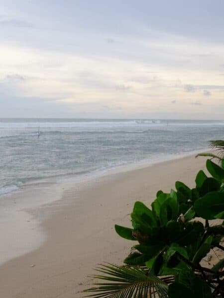 Things to know before visiting Ahangama: wide sandy beach with calm waves and palm trees.