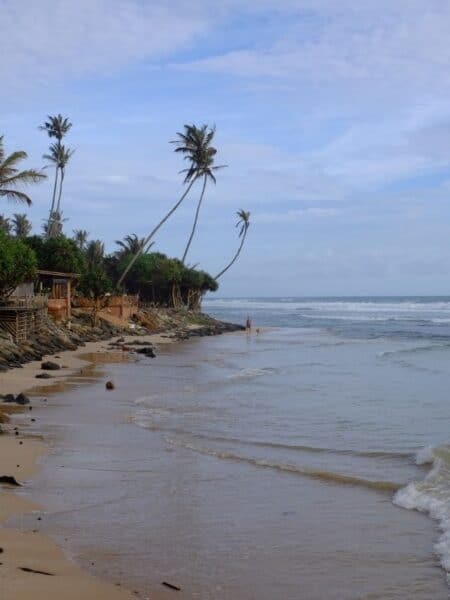 Palm-lined beach in Ahangama with waves washing up the sand