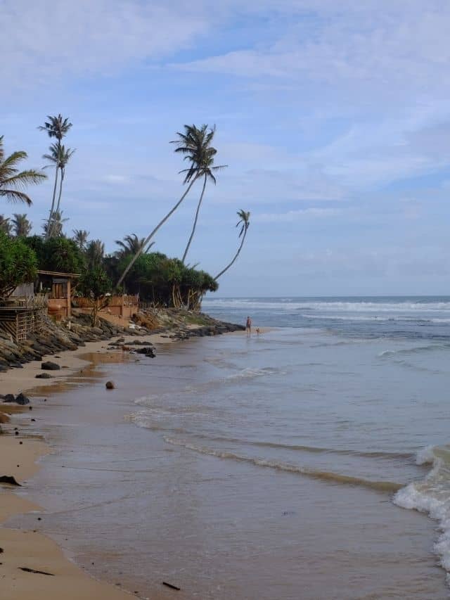 Palm-lined beach in Ahangama with waves washing up the sand