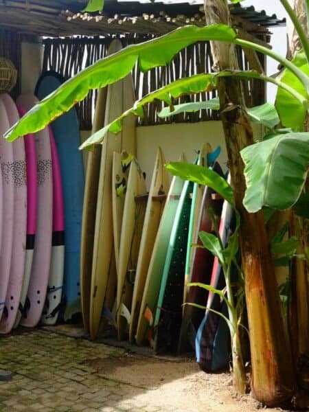 Colourful surfboards stacked beside tropical plants in Ahangama, showing the town’s laid-back surf scene