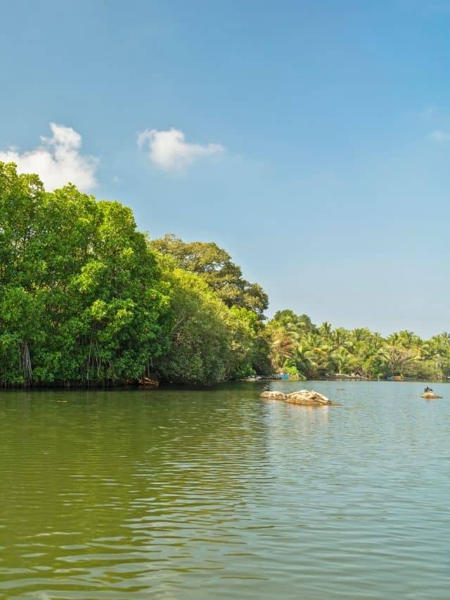 Koggala Lake boat trip option for a 4 days in Ahangama itinerary