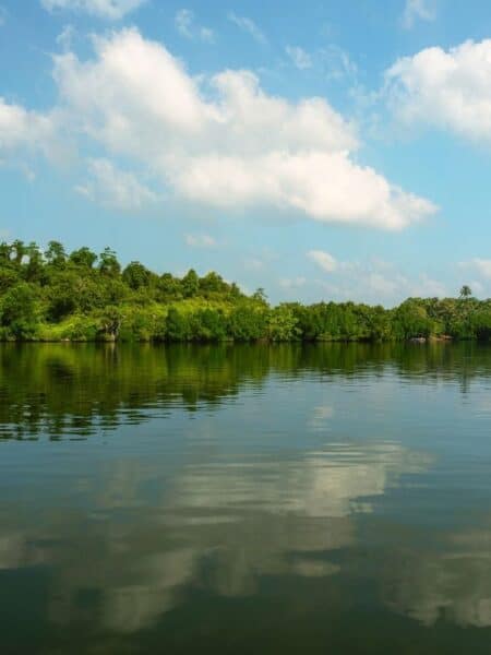Calm Koggala Lake scenery near Ahangama