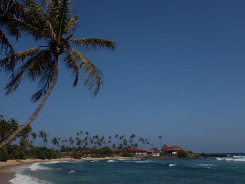 Curving bay with palm trees and blue water on Sri Lanka’s south coast