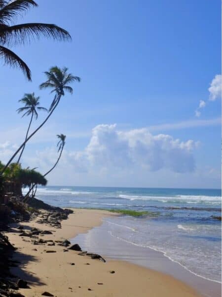 Quiet beach near Ahangama with palm trees, rocks and waves along the shore — is Ahangama worth visiting for beach time?