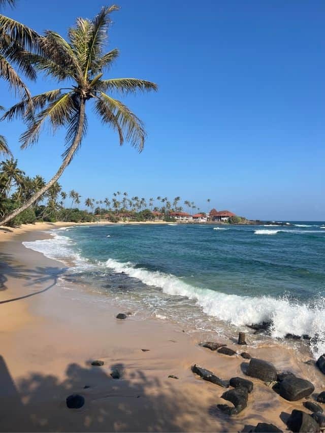 Palm-fringed Dickwella Bay Beach on an Ahangama itinerary
