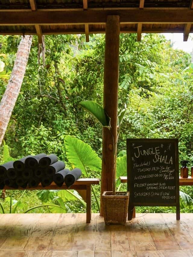 Jungle yoga shala surrounded by greenery, one of the peaceful things to do in Ahangama