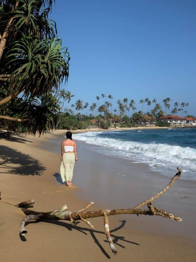 Traveller walking along a quiet beach with waves and palm trees in Sri Lanka