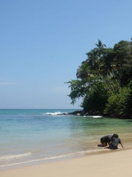 Calm turquoise water and jungle-covered rocks near Hiriketiya Beach