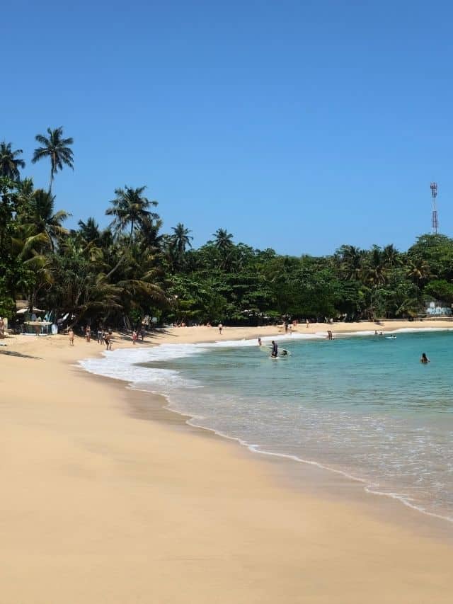 Bright sandy beach with turquoise water and palm trees in Hiriketiya.