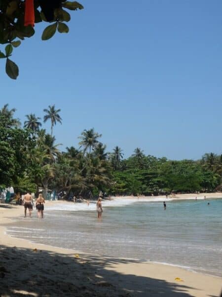 Sandy curve of Hiriketiya Beach with palms and calm turquoise water