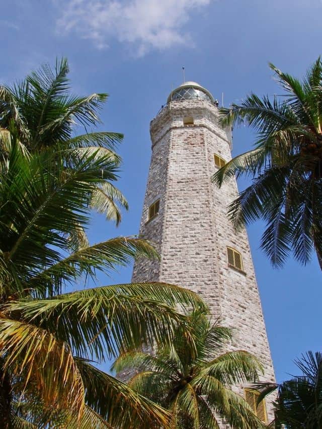 Dondra Lighthouse surrounded by palm trees near Hiriketiya Beach Sri Lanka