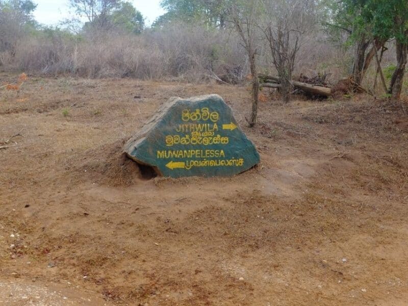 Signpost inside Udawalawe National Park pointing towards different safari tracks