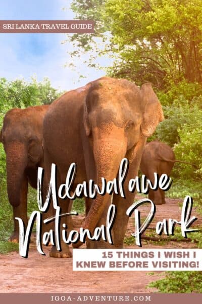 Udawalawe National Park tips Pin 1