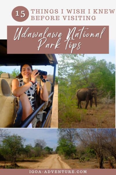 Udawalawe National Park tips Pin 2
