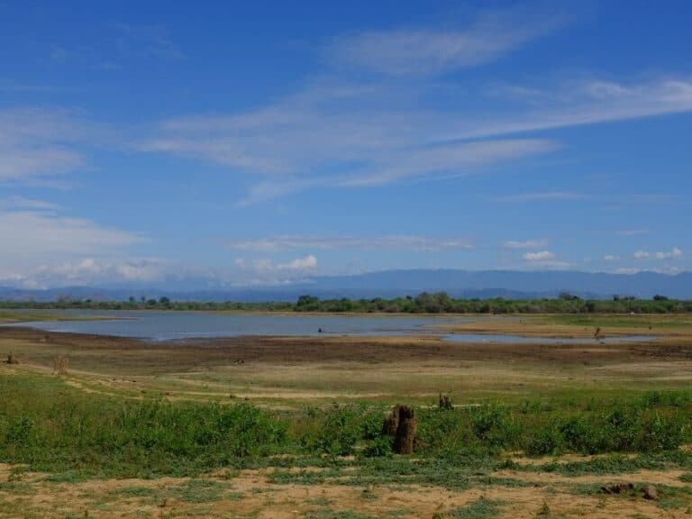 Ella to Udawalawe Safari wetland landscape with open water, dry grassland and distant mountains in Sri Lanka