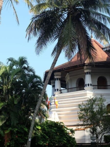 Temple of the Tooth building in Kandy with palm trees and Buddhist flags outside.