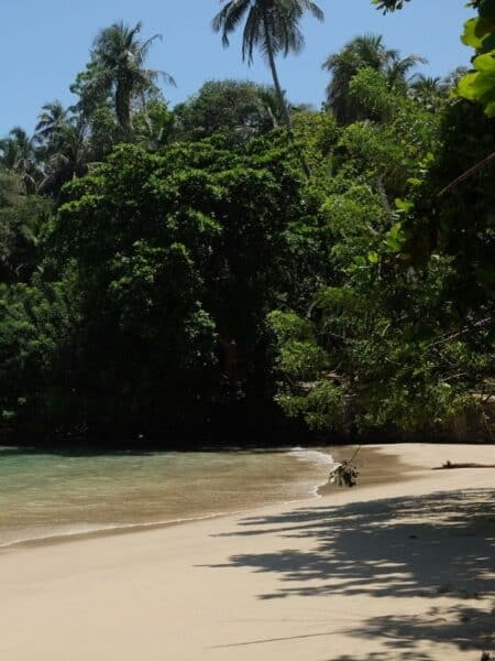 Quiet sandy cove backed by jungle and palm trees on Sri Lanka’s south coast.