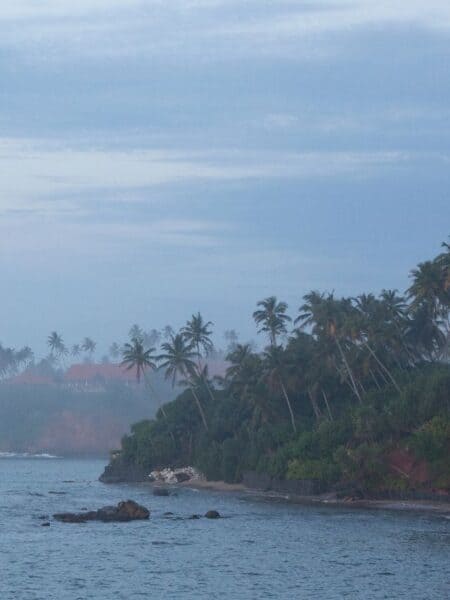 Misty palm-lined coastline near the south coast of Sri Lanka after tropical rain.