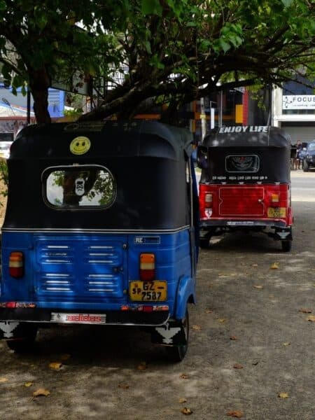 Blue and red tuk-tuks parked under a tree in Sri Lanka.