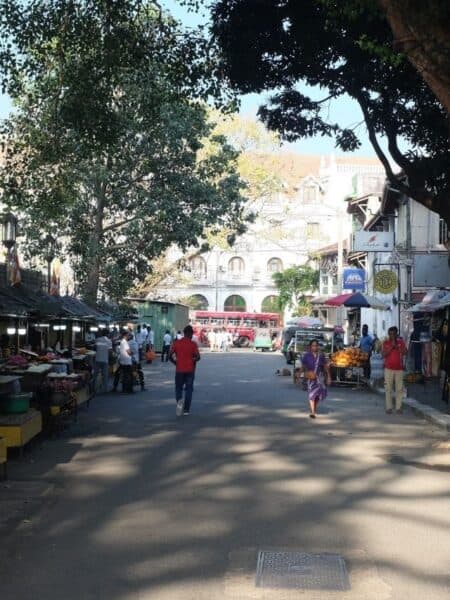 Shaded street in Kandy with market stalls, coconut sellers and local buses.