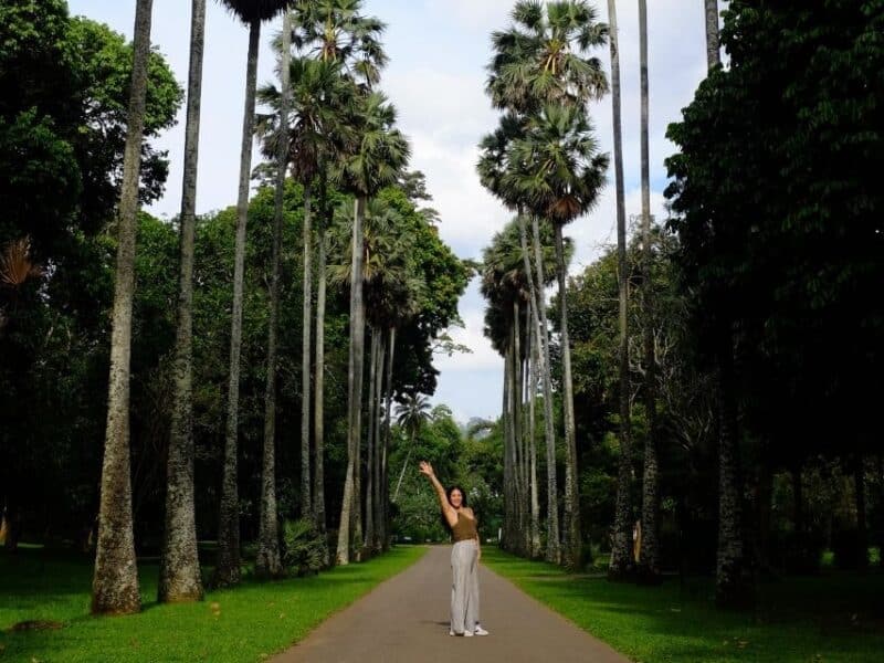 Women standing and waving in the middle of an avenue of palm trees in Sri Lanka's botanical garden.