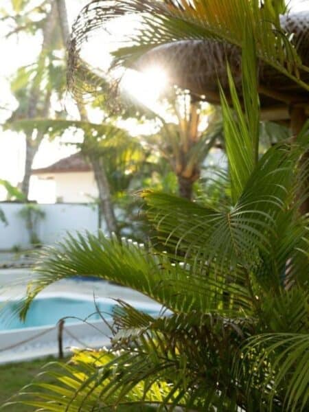 Palm-framed pool area at Seven Black Diamonds surf accommodation in Ahangama.