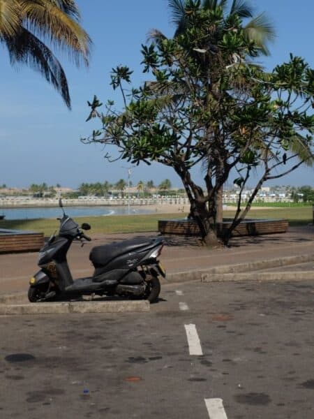 Galle Face Green and the seafront during a private tuk-tuk city tour in Colombo
