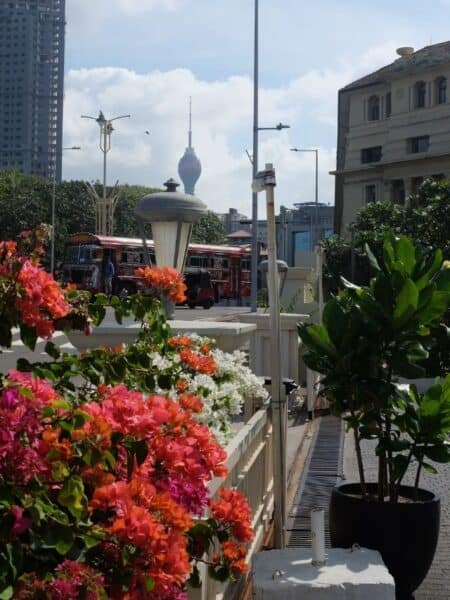 Lotus Tower seen behind flowers during my Colombo City Tour by Tuk Tuk